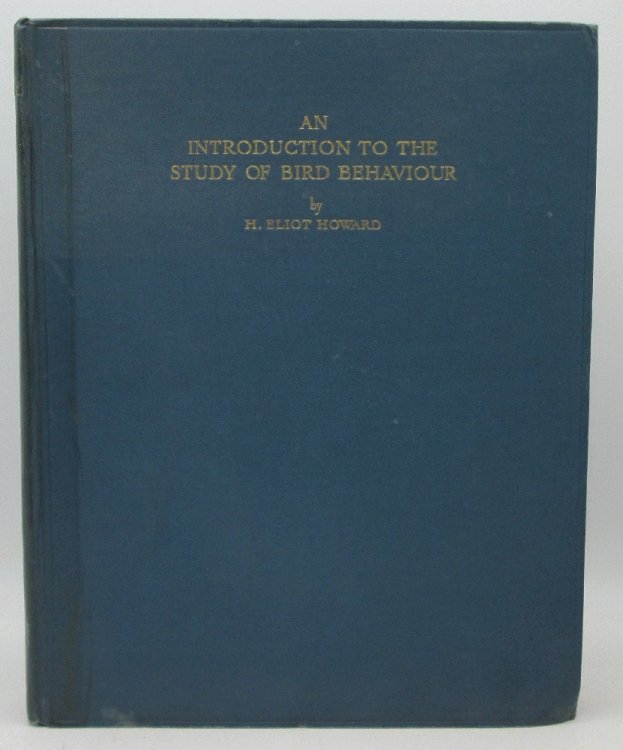 Image for An Introduction To The Study of Bird Behaviour An Introduction To The Study of Bird Behaviour