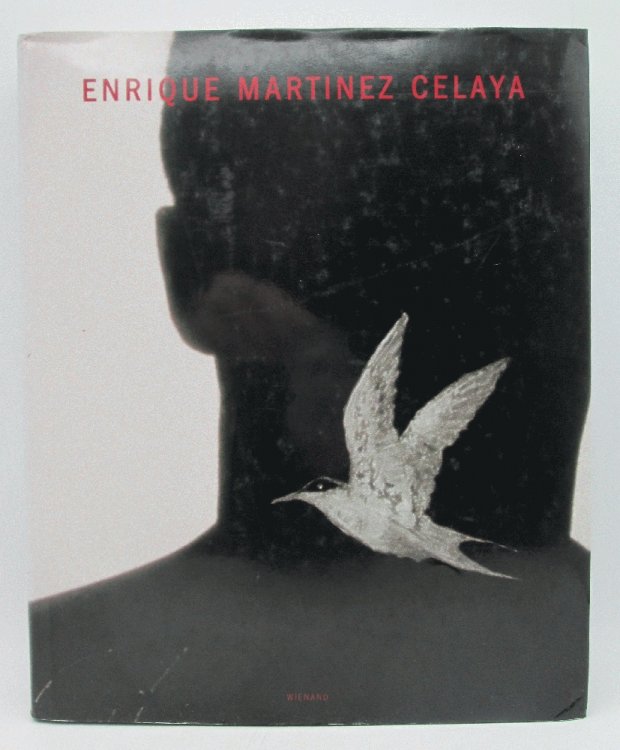 Enrique Martinez Celaya 1992-2000 (English and German Edition)