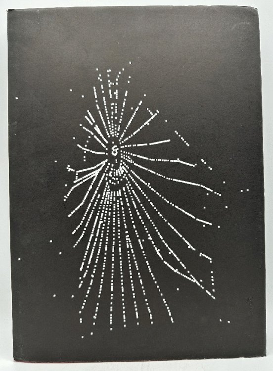 Carlos Amorales: Discarded Spider