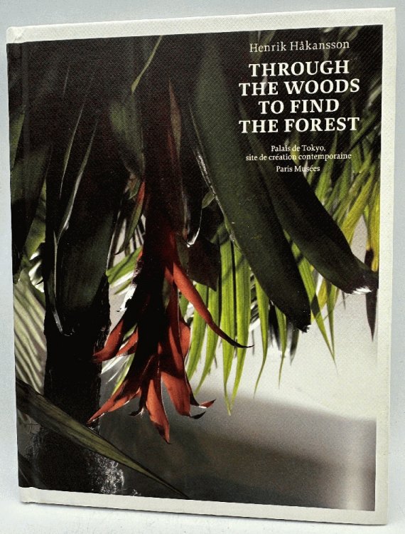 Through the Woods to Find the Forest