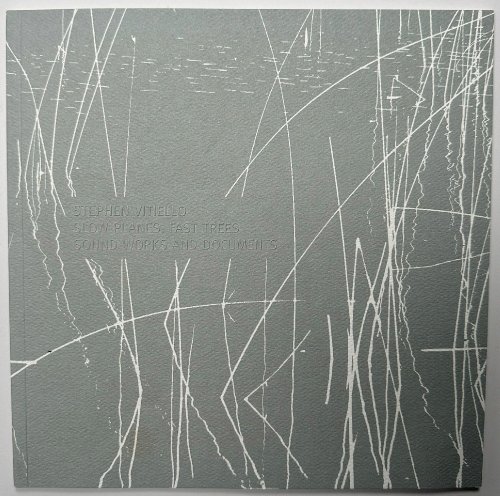 Stephen Vitiello: Slow Planes, Fast Trees, Sound Works and Documents