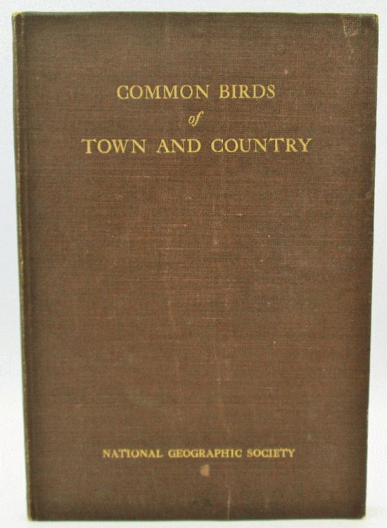 Common Birds of Town and Country