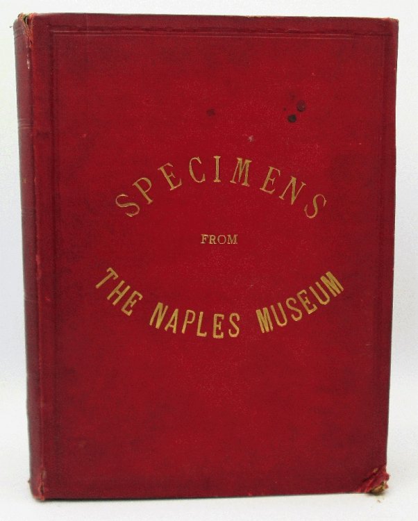 Specimens From The Naples Museum 168 Plates Engraved on Copper by the Best Italian Artists