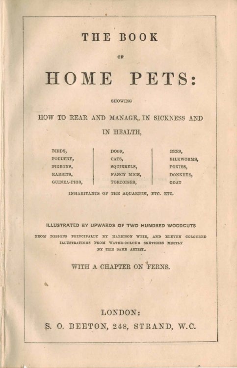 the Book of home Pets Showing How to Rear & manage, in Sickness & in health, Birds Poultry Pigeons Rabbits Guinea Pigs Dogs Cats Squirrels Fancy Mice Tortoises Bees Silkworms Ponies Donkeys Goat Inhabitants of the Aquarium Etc
