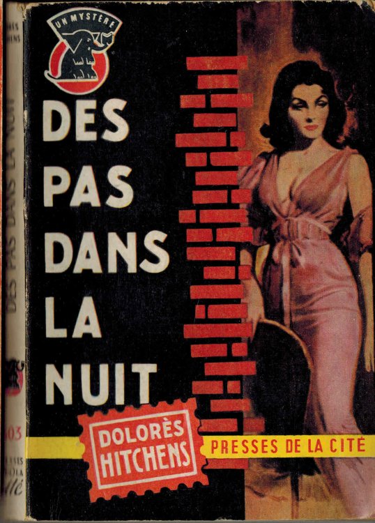 Des Pas Dans La Nuit