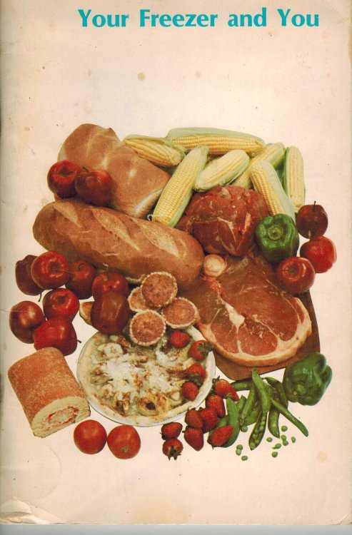 You and Your Freezer : Vous et Votre Congelateur