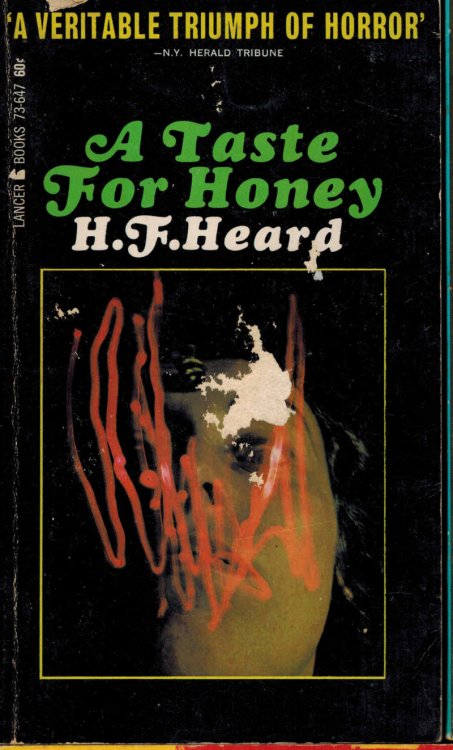 A taste for Honey