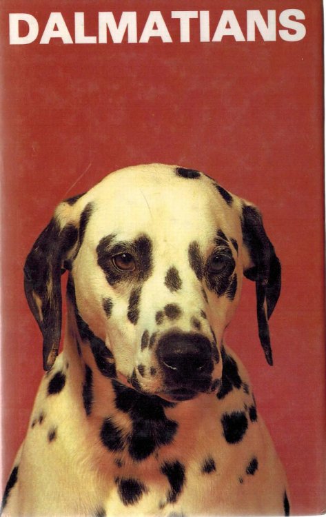 Dalmatians