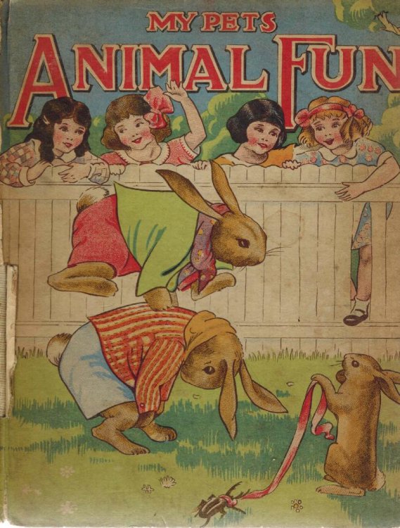 Image for My Pets Animal Fun My Pets Animal Fun