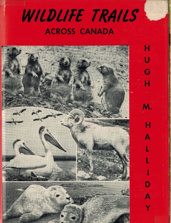 Image for Wildlife Trails Across Canada Wildlife Trails Across Canada