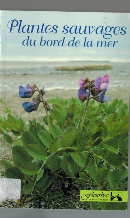 Plantes sauvages du bord de la mer (Guide d'identification Fleurbec) (French Edition)