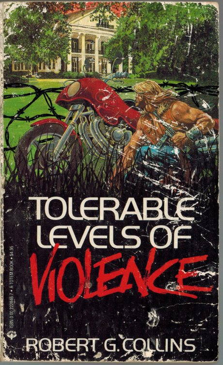 Tolerable Levels of Violence