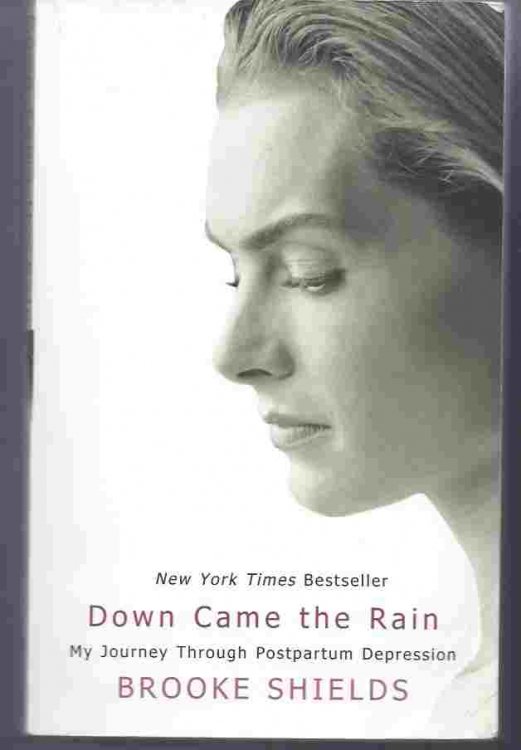 DOWN CAME THE RAIN My Journey Through Postpartum Depression