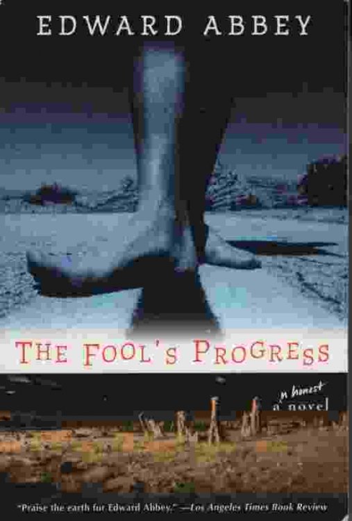 THE FOOL'S PROGRESS An Honest Novel