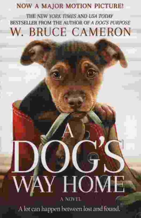 A DOG'S WAY HOME