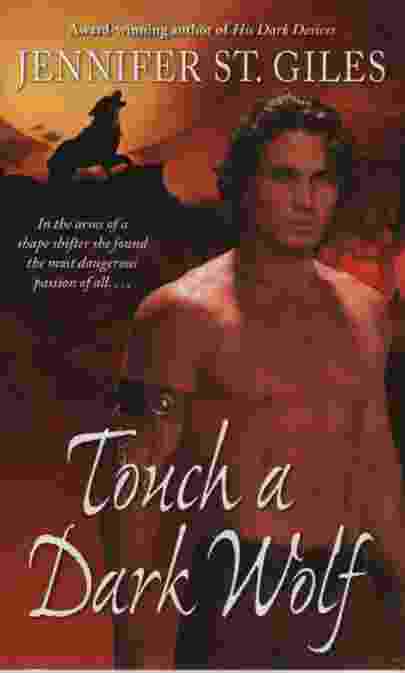 TOUCH A DARK WOLF