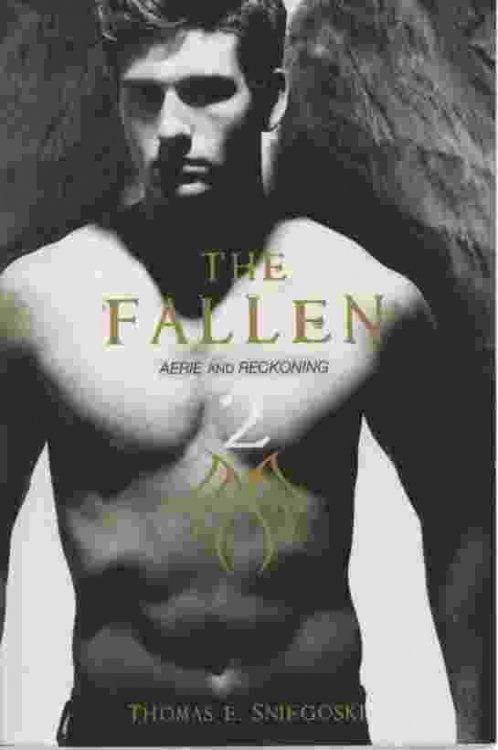 THE FALLEN, VOL 2 Contains Aerie and Reckoning