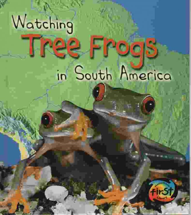 WATCHING TREE FROGS IN SOUTH AMERICA