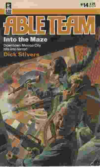 INTO THE MAZE
