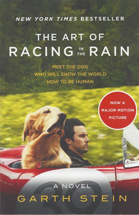 THE ART OF RACING IN THE RAIN [MOVIE TIE-IN EDITION]