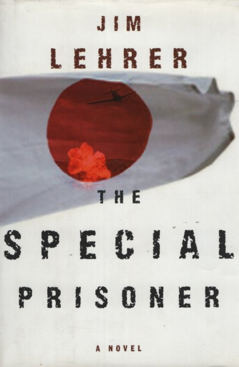 THE SPECIAL PRISONER