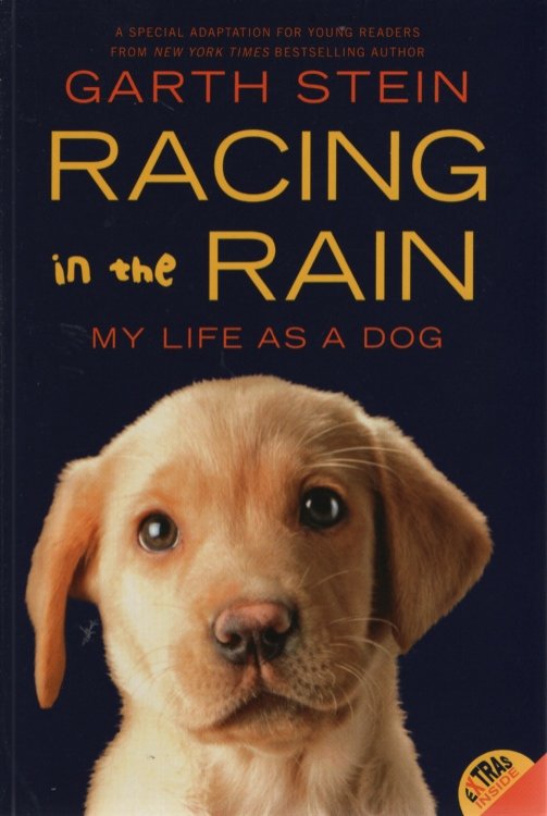 RACING IN THE RAIN My Life As a Dog
