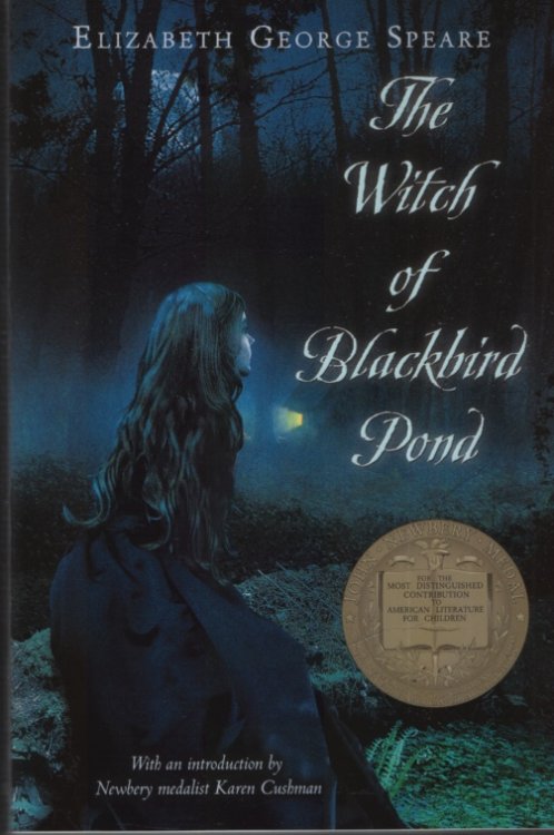 THE WITCH OF BLACKBIRD POND