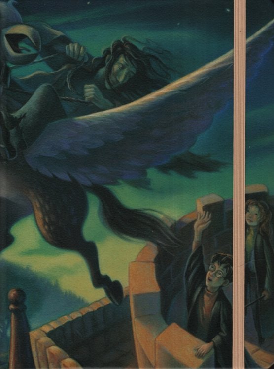 RESCUE SIRIUS JOURNAL