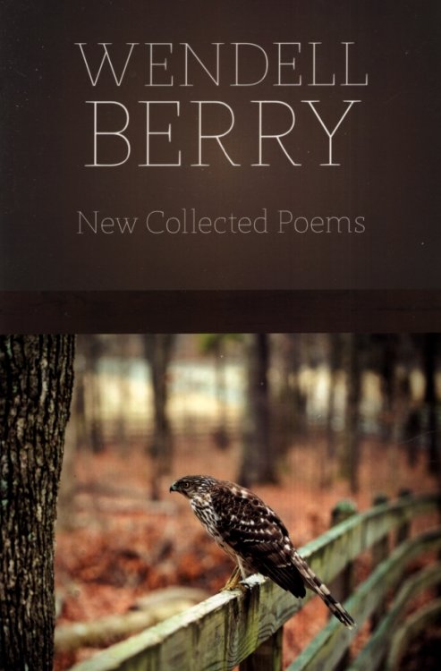 NEW COLLECTED POEMS