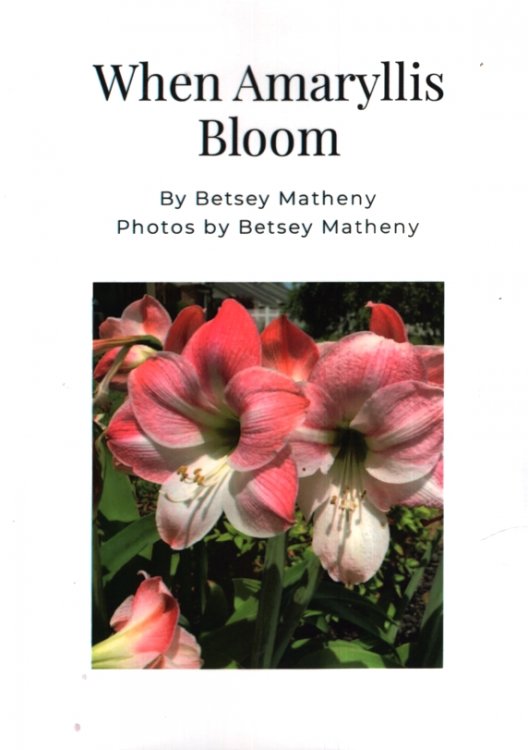 WHEN AMARYLLIS BLOOM