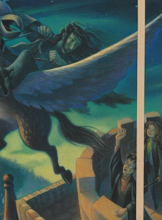 RESCUE SIRIUS JOURNAL
