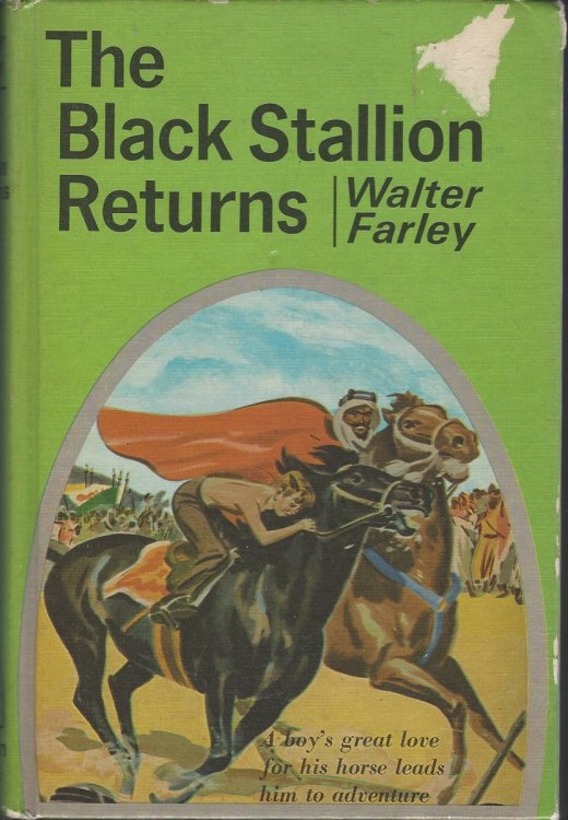 THE BLACK STALLION RETURNS