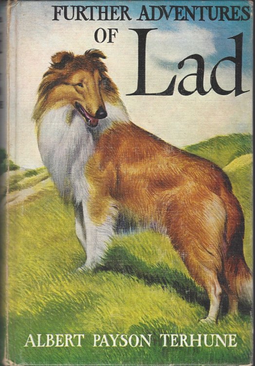 FURTHER ADVENTURES OF LAD