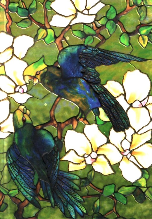 HIBISCUS AND PARROTS