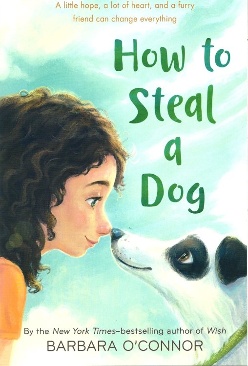 HOW TO STEAL A DOG