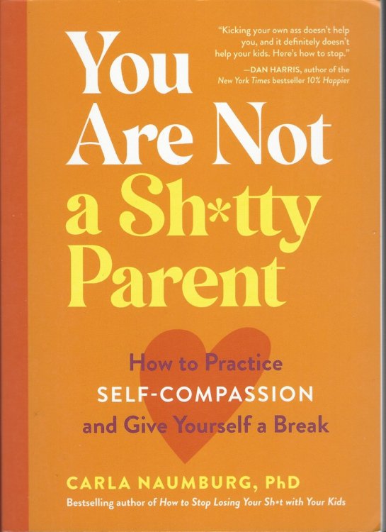 YOU ARE NOT A SH*TTY PARENT