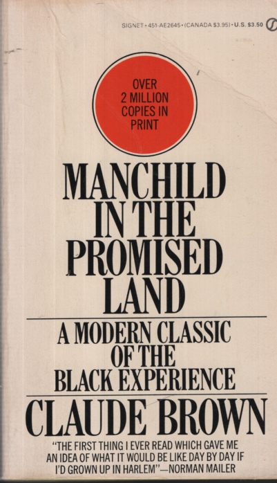 MANCHILD IN THE PROMISED LAND