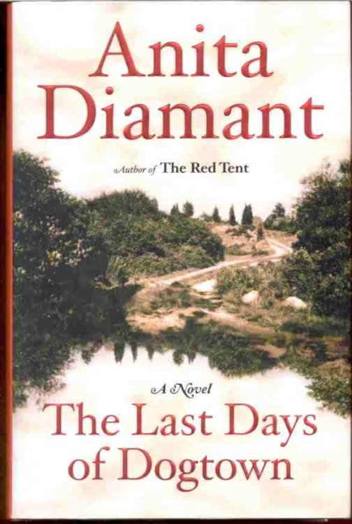THE LAST DAYS OF DOGTOWN