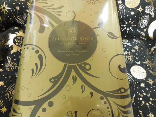Splendor Solis: Commentary volume