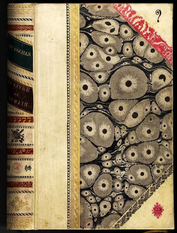 LE LIVRE DE DEMAIN