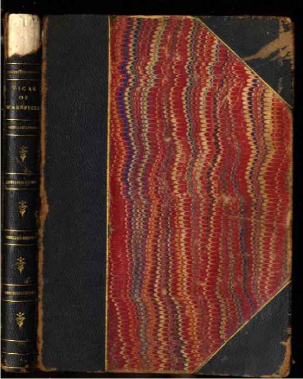 THE VICAR OF WAKEFIELD , A TALE