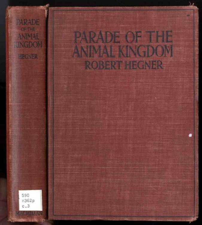 PARADE OF THE ANIMAL KINGDOM