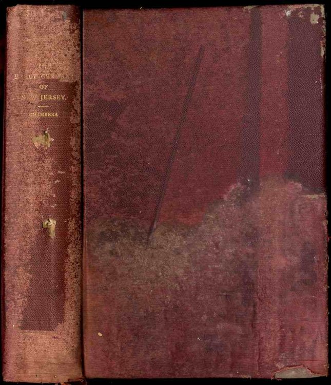 THE EARLY GERMANS OF NEW JERSEY. THEIR HISTORY, CHURCHES AND GENEALOGIES.