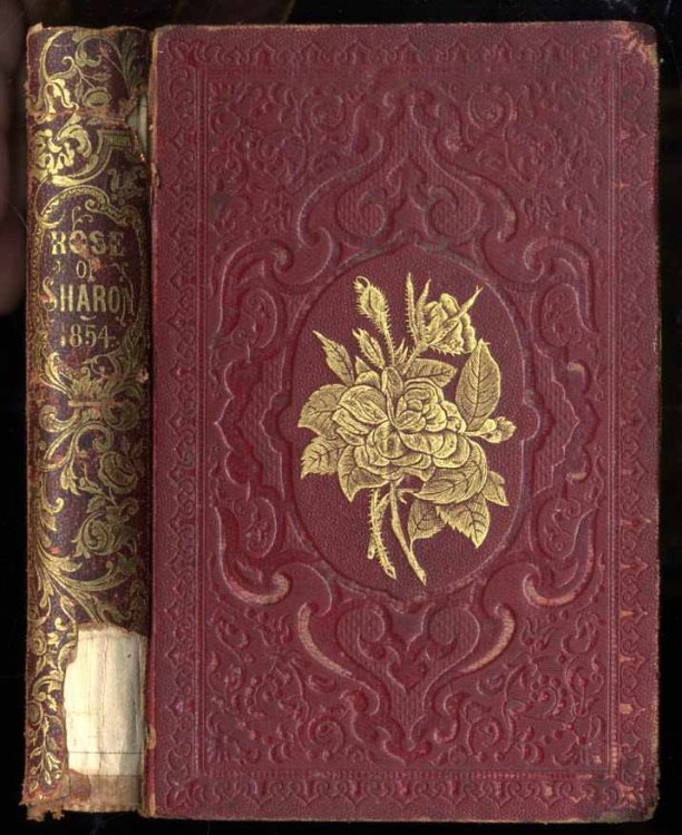 THE ROSE OF SHARON 1854