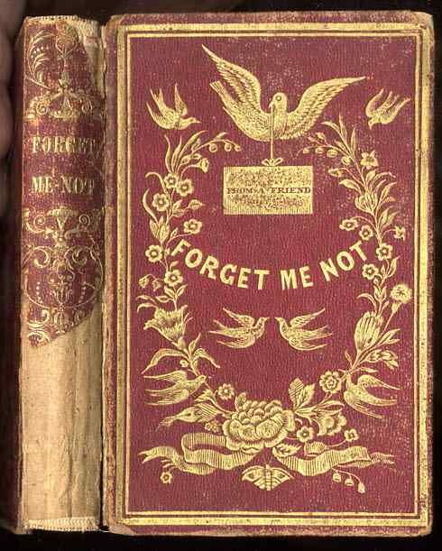 FORGET ME NOT FOR ALL SEASONS