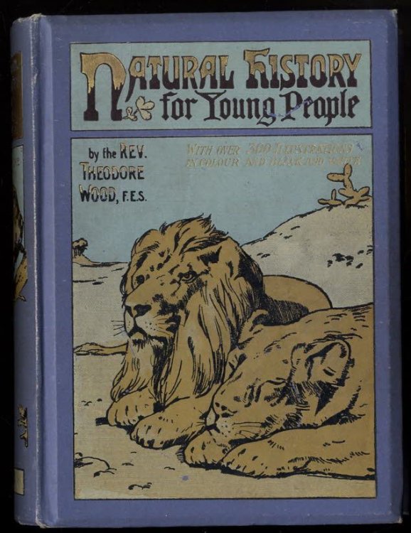 A NATURAL HISTORY FOR YOUNG PEOPLE