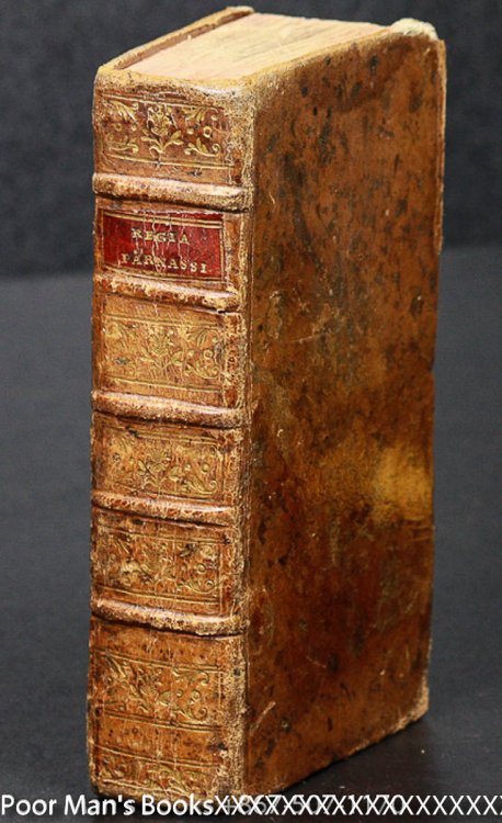 REGIA PARNASSI, SEU PALATIUM MUSARUM IN QUO SYNONYMA, EPITHETA, PERIPHRASES, ET PHRASES POETICAE, EX OFFICINA TEXTORIS, DELECTU EPITHETORUM, SCALA PARNASSI.