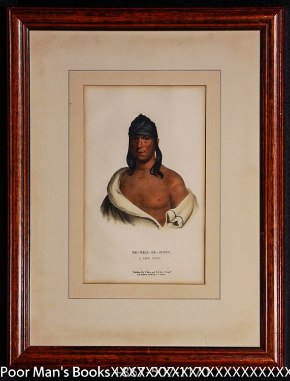 PA-SHE-PA-HAW, A SAUK CHIEF 10 X 7IN Indian Tribes [Lbc]
