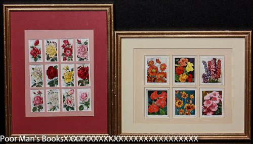 WILL'S CIGARETTE CARDS FLOWERS 2 FRAMES