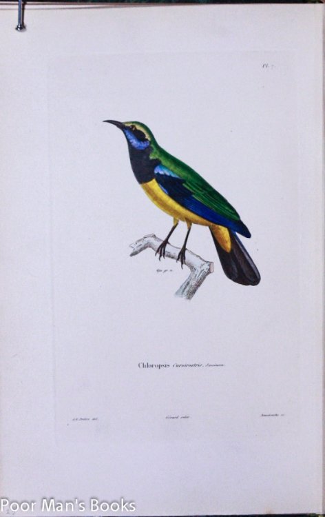 SOUVENIRS D'UN VOYAGE DANS L'INDE, EXECUTE DE 1834 A 1839 [COLOR PLATES] OUVRAGE ENRICHI DE TRENTE-CINQ PLANCHES